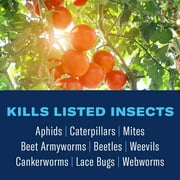 BioAdvanced Fruit & Vegetable 3-in-1, Ready-to-Use, 24 oz. Kills Listed Fungus, Insects and Mites!