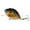 CC07-04, variant on Dr.Fish Fishing Lure Shallow Diving Rattling Crankbait Hook Bass Bait Tackle