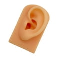 thumbnail image 1 of facefd Silicone Soft Ear Model Teaching Tool Display Props Skin, 1 of 9