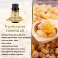 thumbnail image 2 of Aceite esencial de incienso Yethious 100% orgánico puro, 10 ml, 2 of 7