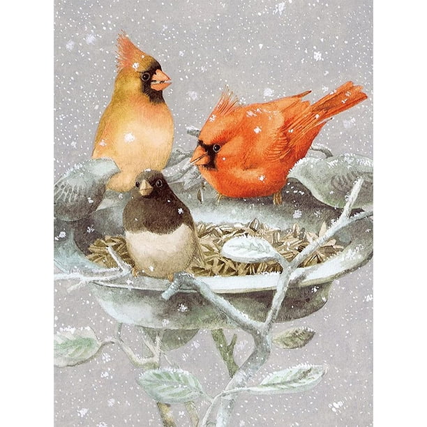 Pintura de diamante (DE6725) Pájaro redondo completo Pared de diamantes de imitación 40x50cm FLhrweasw Nuevo