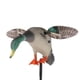 thumbnail image 5 of Señuelo de movimiento Cola señuelo de simulación Mallard Drake con soporte telemando jardín eléctrico, 5 of 8