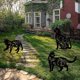 thumbnail image 3 of Metal Cat Silhouette Decor Wrought Iron Home Bedroom Dormitory Bookshelf, 3 of 5