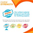 thumbnail image 6 of Nylabone Puppy Chew Starter Kit Chew Toy with Healthy Edibles Chew Treat Chicken & Bacon Blue Small (3 Count), 6 of 15