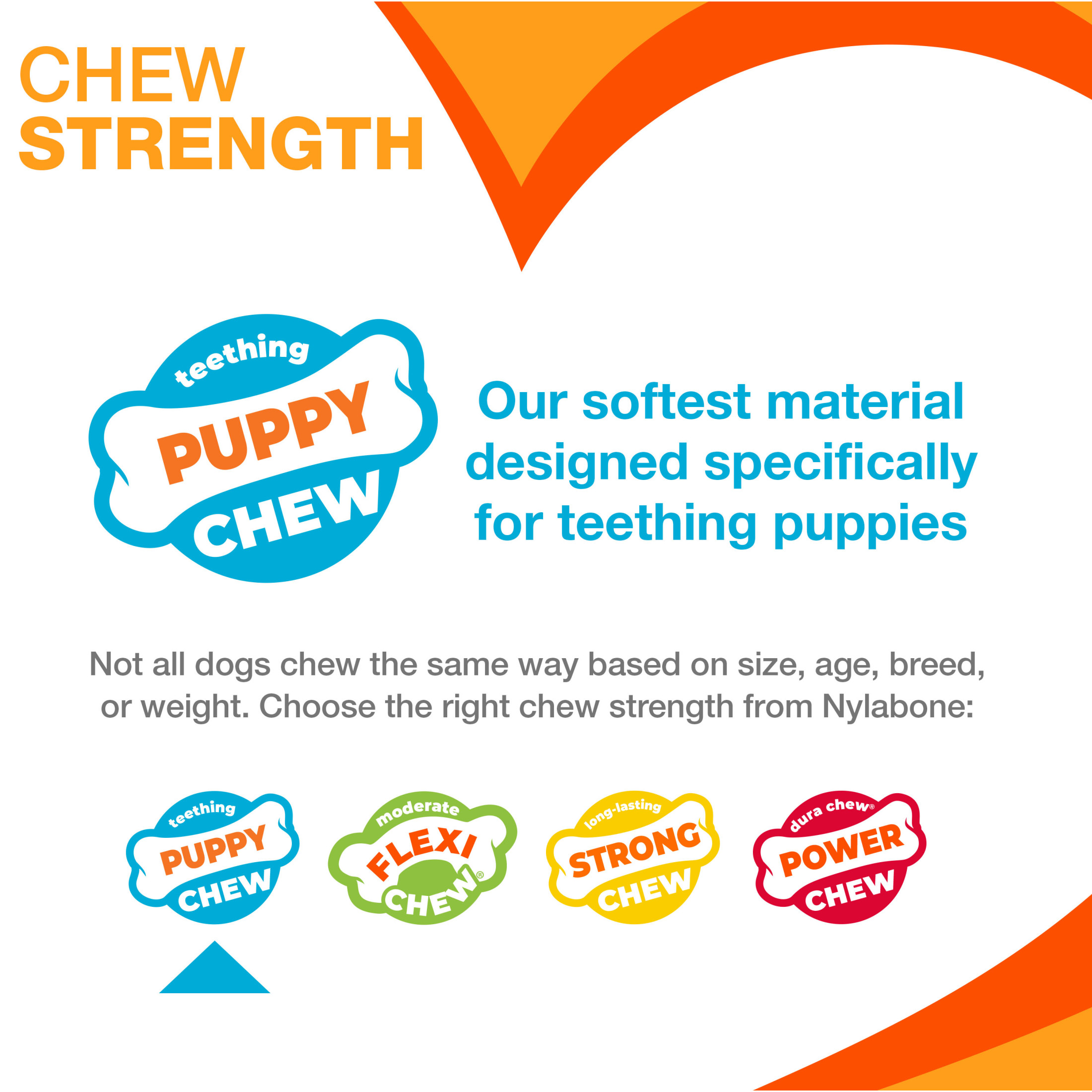 Nylabone Puppy Chew Ring Bone, Chicken Flavor, Medium photo 4