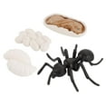 thumbnail image 2 of Juego de Figuras de Animales de Simulación Zulema para Niños Juego de Crecimiento de Insectos, 2 of 8