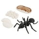 thumbnail image 2 of Juego de crecimiento de insectos para niños,Ayudas para la enseñanza del ciclo de crecimiento animal,Juguete educativo temprano,Ayudas para la enseñanza de la naturaleza,Proceso de, 2 of 9
