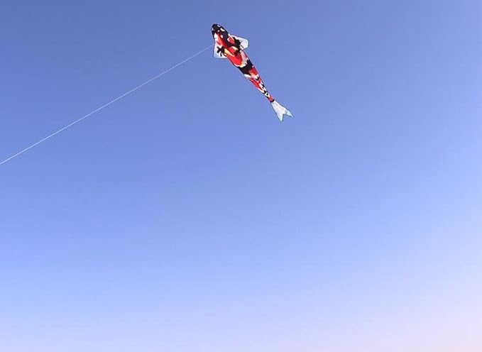 6M Kites Professional Giant Kites for Adults koi Kite