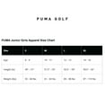 thumbnail image 3 of PUMA GOLF Big Girls Cloudspun Coast Moisture Wicking UPF 40 Short Sleeve Polo Shirt (Pink, L), 3 of 3