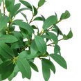 thumbnail image 4 of Bearachild Paquete de 10 ramas de plantas de simulación de rama de hoja artificial para boda, oficina, pared de jardín al aire libre, decoración DIY Plantas Artificiales Verde Bearachild HA8513-01B, 4 of 6