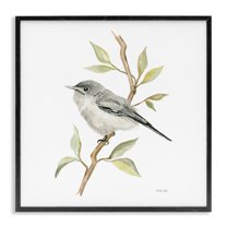 Stupell Industries Bird on Simple Branch Animals & Insects Painting Black Framed Art Print Wall Art, 24 x 24