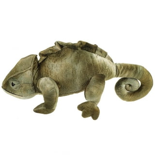 Liz lizard best sale stuffed animal