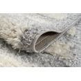 thumbnail image 4 of LaDole Rugs 4x6 ft Fluffy Shaggy Area Rug | Machine Washable Small Carpet For Bedroom, Living Room, Kitchen, Entry Way, Indoor Floor Décor | Grey, 4 of 5