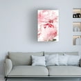 thumbnail image 4 of Trademark Fine Art Rosana Laiz Blursbyai Bllush peony X Canvas Wall Art, 4 of 4