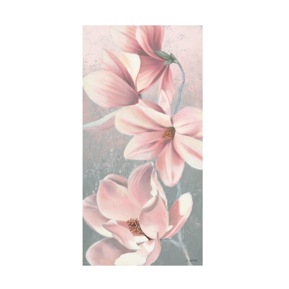 Trademark Fine Art 'Sunrise Blossom II' Canvas Art by James Wiens
