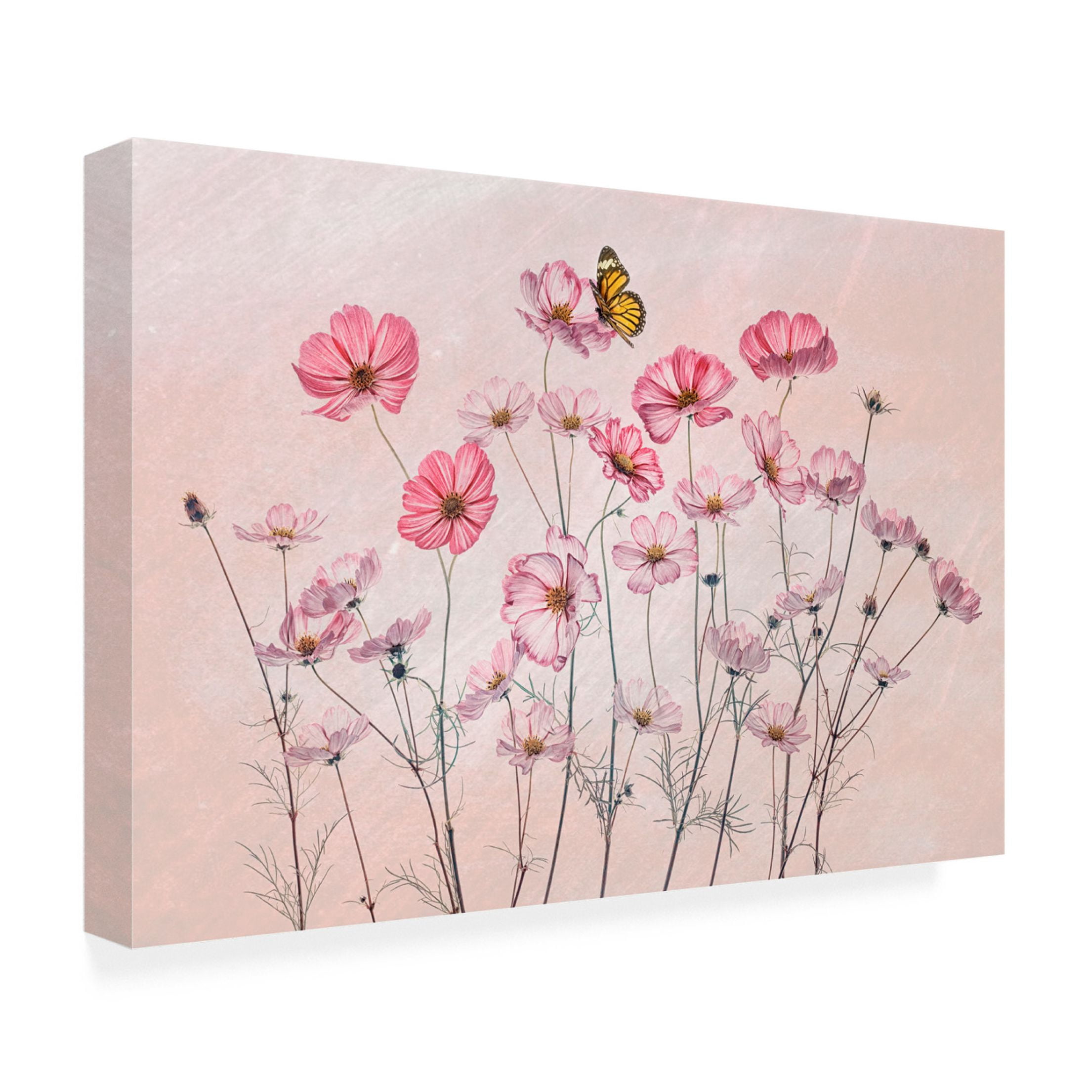 Canvas Wall Art - Lydia Jacobs 'Cosmos And Butterfly' Wall Art for Living Room, Bedroom, or Office Décor by Trademark Fine Art - 24 x 16 Inches