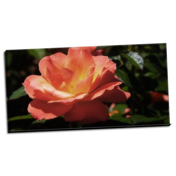 Gango Home Decor Queen of Flowers II by Alan Hausenflock (Ready to Hang); One 36x18in Hand-Stretched Canvas