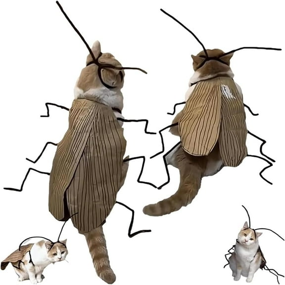Cat Cockroach Clothing DIY Kit,Funny Cat Cockroach Costume DIY Kit,Pet Halloween Outfit,Realistic Roach Costume with Antennae,Durable Pet Clothing(1Set 8in)from ANMUYUM