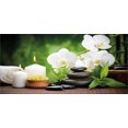 thumbnail image 4 of Spa Piggy Bank, Stones with Orchid and Candles Green Plants at the Background Print, Ceramic Coin Bank Money Box for Cash Saving, 3.6" X 3.2", White Green and Black, by Ambesonne, 4 of 4
