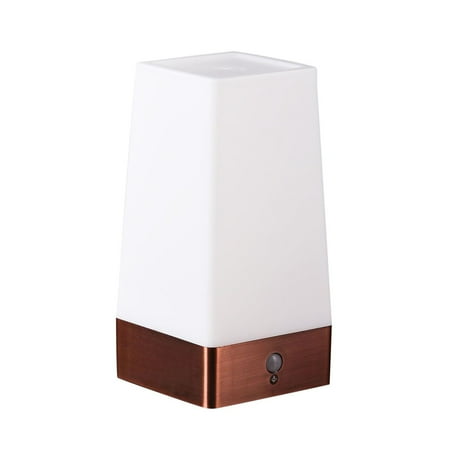 

Household Essentials Wireless Indoor LED Night Light RIP Motion Sensor Desk Table Night Lamp Bedside Lamp (Battery Operated)