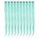thumbnail image 1 of Extensiones de cabello sintético con clip, resaltado de colores, 10 Uds. (verde), 1 of 6