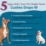 PetAlive Cushex Drops-M for Dogs - Natural Adrenal Support - Promotes Adrenal & Pituitary Gland Health in Dogs, Reduces Excessive Thirst & Urination,