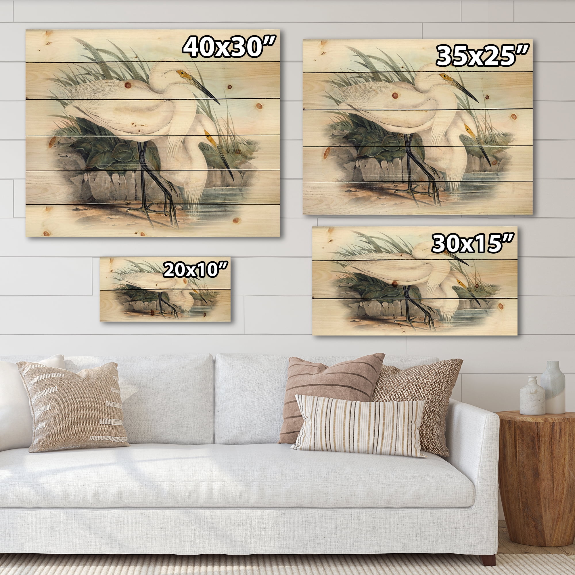 Designart 'Ancient Bird Life I' Traditional Print on Natural Pine Wood