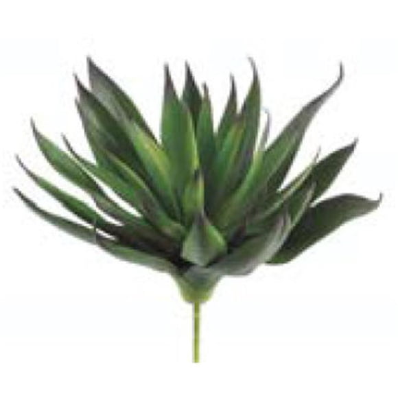 CA0230-GR-PU 7.8 in. Agave Plante avec 33 Feuilles Vert Pourpre- Cas de 12