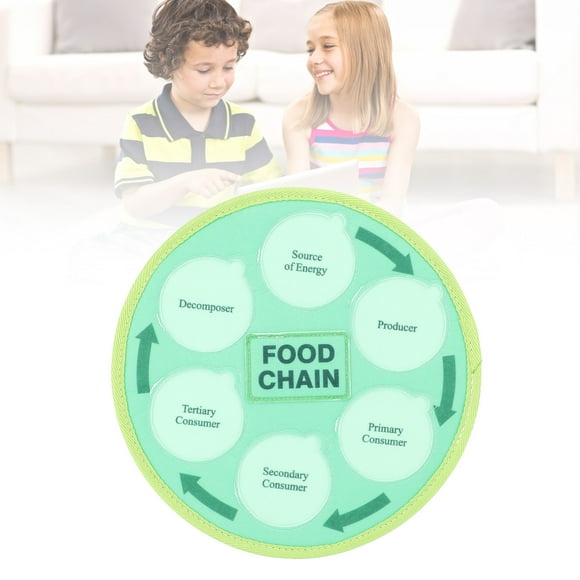Life Cycle Learning Toys, Food Chain Food Web Science Kits Marine Forest Arctic Animal for Preschool