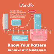 Wondfo - 50 Ovulation Test Strips and 25 Pregnancy Test Strips Kit - Rapid Test Detection for Home Self-Checking (50 LH + 25 HCG)