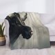thumbnail image 3 of Fotbe Mystical Bull in Fog Manta de Franela con Estampado, Manta Ultrasuave para Cama, Sofá, Auto, Hipoalergénica y Antibolitas-60"x50", 3 of 6