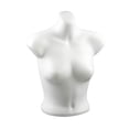 thumbnail image 1 of Soporte De Exhibición De Ropa Interior Con Torso De Maniquí Femenino Para Transmisión En Mostrador, 1 of 8