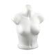 thumbnail image 1 of Soporte De Exhibición De Ropa Interior Con Torso De Maniquí Femenino Para Transmisión En Mostrador, 1 of 8