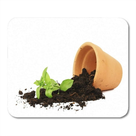 Gardenia Flower Pot Soil SIDONKU Broken Flower Pot Spilled Out Soil Damage Plant Spill Fallen Messy Mousepad Mouse Pad Mouse Mat 9x10 inch ()