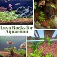 thumbnail image 4 of NOGIS 0.77lb Red Lava Rocks for Plants, Volcanic Rock Horticultural Lava Rock Soil for Landscaping Plants Drainage, Small Lava Rock Gravel for Succulents, Bonsai, Vase Fillers, Terrarium Plants, 4 of 6