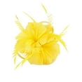 thumbnail image 1 of LILELIS Feather And Flower Party Hair Clip 1pc, 1 of 8