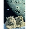 thumbnail image 1 of Diamond Painting (DE7943) Square Cosmic Tiger Kit DIY Art (WT828) 45x60cm Blanco FLhrweasw Nuevo, 1 of 1