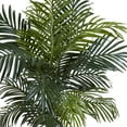 thumbnail image 2 of Nearly Natural 54" Golden Cane Palm with Decorative Container in Green/Brown, 2 of 5
