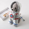 thumbnail image 4 of Pet Transformation Into an Astronaut Stands for A Halloween Funny Pet Clother Standing Clothes for Cat Astronauts Pet Costume Clother Pet Clothes Hangers Wood, Silver, 4 of 5