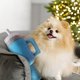 thumbnail image 5 of Botella Con Peluche para Juguete Chirriante Pellizador, 5 of 9