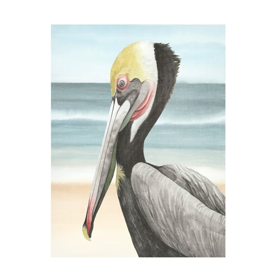 Trademark Fine Art Grace Popp Pelican Beach II Canvas Wall Art