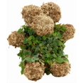 thumbnail image 4 of Teddy Bear - Large - Sphagnum Moss Topiary Form, 4 of 4