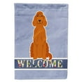 thumbnail image 1 of Carolines Treasures BB5645GF Irish Setter Welcome Garden Size Flag, 1 of 3
