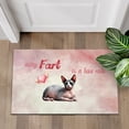 thumbnail image 4 of Every Fart is Love Note Sphynx Guilty Face Happy Valentine's Doormat Cat Lover Kitten Owner Gifts Idea Indoor Outdoor Welcome Mat - 01016, 4 of 5