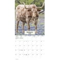 thumbnail image 2 of Trends International 2026 Texas Mini Wall Calendar, 2 of 5