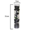 thumbnail image 2 of A Real Preserved Rose, Everlasting Rose, Durable Rose, Eternal Flowering Rose, 2 of 5