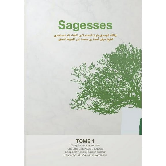 Sagesses: L'éveil des aspirations spirituelles (Tome 1), (Paperback)