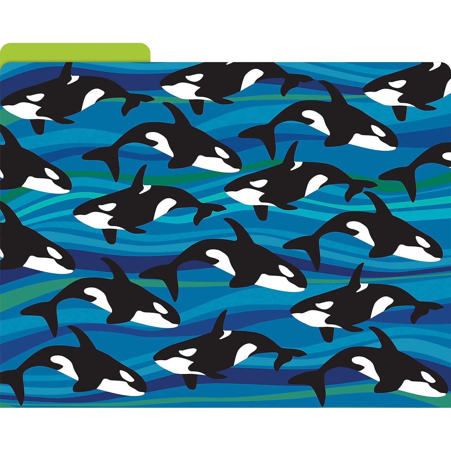 Barker Creek Designer File Folders Set of 12, Sea & Sky, Multi-Design, Reversible, Colorful Patterns Inside and Out, Letter Size, 1/3 Cut Tabs, 12-Pack, Home, School and Office Supplies (1377)