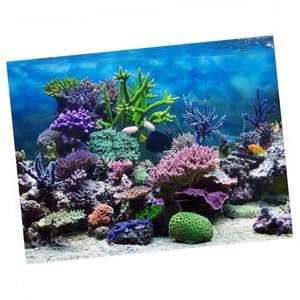 Aquarium Background, Fish Tank Background Double Sides Fish Tank for Fish Tank Decorations Multiple Sizes