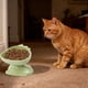 thumbnail image 4 of Herramientas y mejoras para el hogar Tazón de plástico para gatos Tazón para perros Tazón para comida de gatos Tazón para beber para la vértebra cervical Tazón para mascotas Tazón para mascotas, 4 of 5